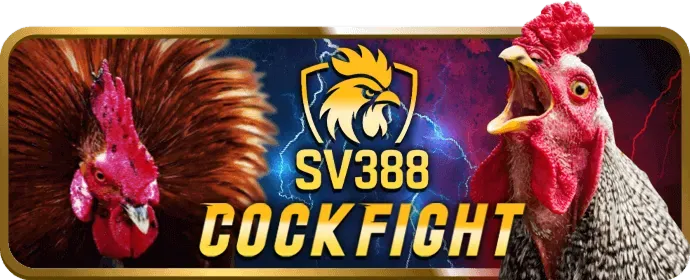 Hình ảnh thu thập dữ liệu người dùng tại FA8BET